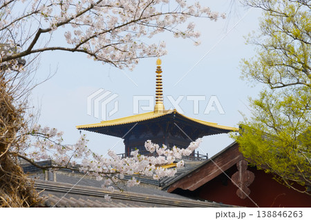 Golden Pagoda Roof Framed by Cherry Blossoms at a Traditional Japanese Temple in Spring Golden Pagoda Roof Framed by Cherry Blossoms at a Traditional Japanese Temple in Spring 138846263