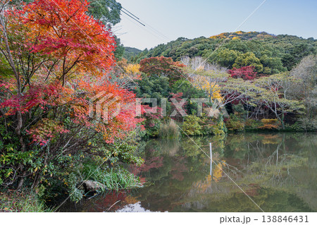 田原市の滝頭公園の紅葉の風景(愛知県) 138846431