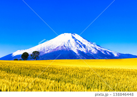 美瑛の美しい田園風景と富士山合成 美瑛の美しい田園風景と富士山合成 138846448