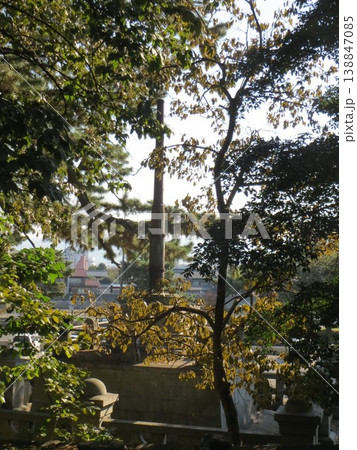 2014年・香川・観音寺・八幡・風景・神社・琴引公園・其の二十七 2014年・香川・観音寺・八幡・風景・神社・琴引公園・其の二十七 138847085
