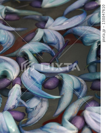 ​マクロレンズで捉えたヒスイカズラの花手水：水滴が輝く神秘的な翡翠色の縦構図（山口県） 138847610