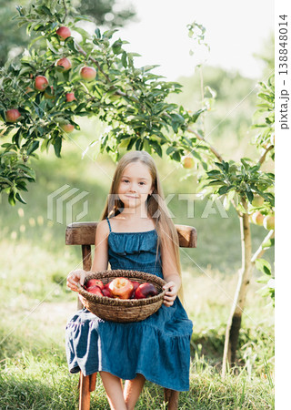 Child picking ripe apples from a tree in sunny orchard, holding a basket during harvest season, symbolizing organic farming, healthy lifestyle, natural food, countryside traditions, and autumn produce 138848014