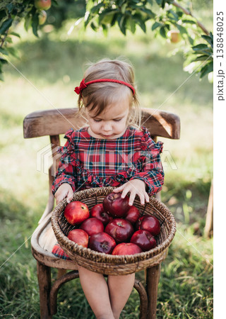 Apple picking. Child picking apples on farm in autumn. Little girl playing in apple tree orchard. Healthy nutrition. Cute little girl eating red delicious fruit. Harvest Concept. Apple picking. Child picking apples on farm in autumn. Little girl playing in apple tree orchard. Healthy nutrition. Cute little girl eating red delicious fruit. Harvest Concept. 138848025