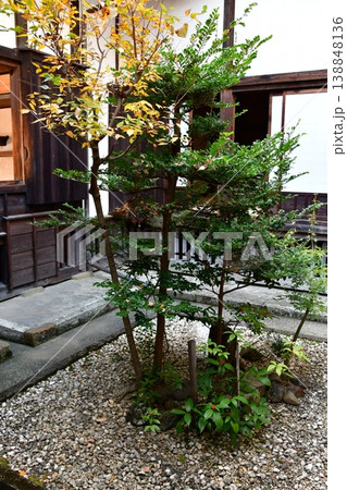 掛川城074 二の丸御殿、中庭 掛川城074 二の丸御殿、中庭 138848136
