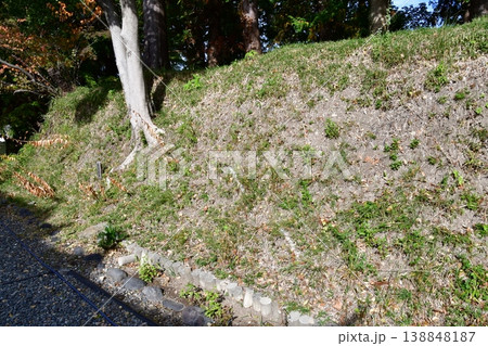 掛川城080 二の丸土塁 138848187