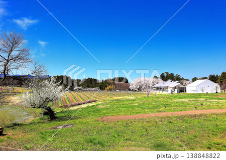国指定史跡　松ヶ岡開墾場 138848822
