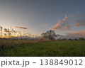 Landscape with clouds and trees under changing sky at end of day 138849012