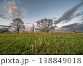 Cloudy sky and green fields at dusk on a spring day 138849018
