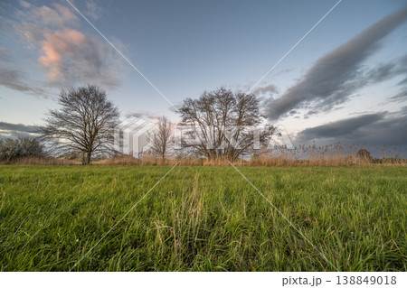 Cloudy sky and green fields at dusk on a spring day Cloudy sky and green fields at dusk on a spring day 138849018