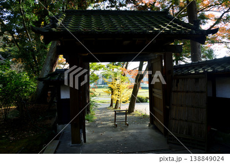 西念寺の紅葉 2025-11-16 #42 西念寺の紅葉 2025-11-16 #42 138849024