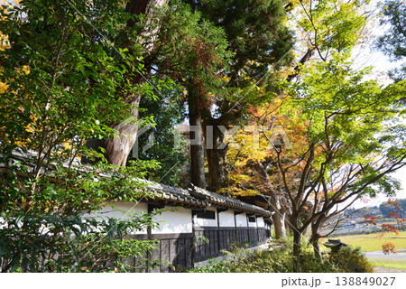 西念寺の紅葉　2025-11-16　＃45 138849027