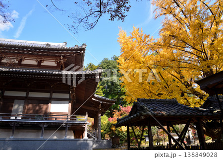 西念寺の紅葉 2025-11-16 #46 西念寺の紅葉 2025-11-16 #46 138849028