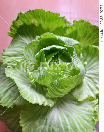 家庭菜園の無農薬野菜 家庭菜園の無農薬野菜 138849273