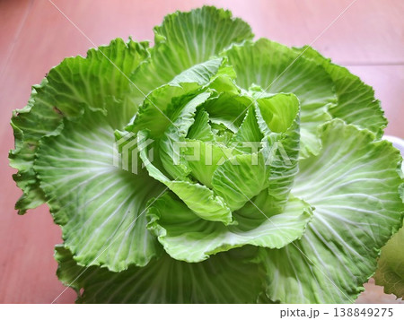 新鮮な無農薬野菜 138849275