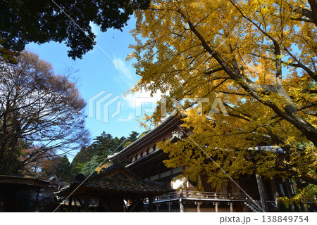 西念寺の紅葉 2025-11-16 #55 西念寺の紅葉 2025-11-16 #55 138849754