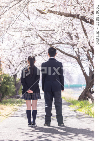 満開の桜の下に立つ制服を着た男女の学生の後ろ姿 満開の桜の下に立つ制服を着た男女の学生の後ろ姿 138850061