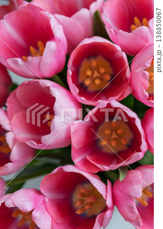 Flowers, spring holidays and home decor concept - Bouquet beautiful tulips, floral background Flowers, spring holidays and home decor concept - Bouquet beautiful tulips, floral background 138850067