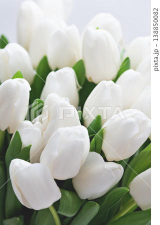 Womens Day spring tulip composition. Spring Floral Composition. Womens Day spring tulip composition. Spring Floral Composition. 138850082