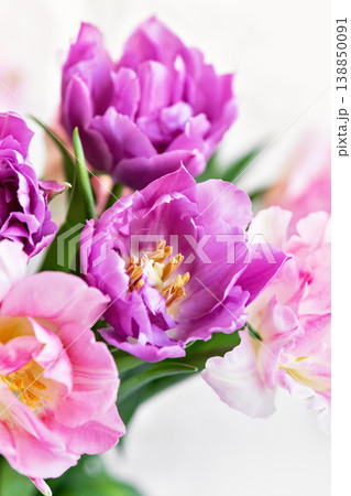 romantic spring floral arrangement soft pink and purple tulip bouquet. Greeting card with flowers 138850091