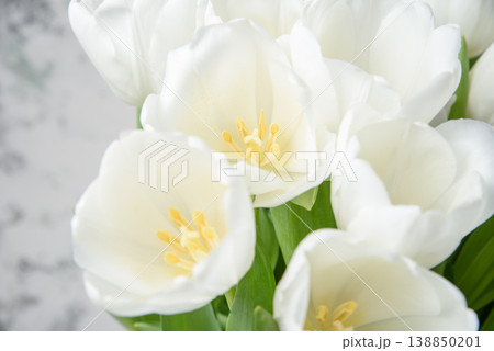 Flowers, spring holidays and home decor concept - Bouquet beautiful tulips, floral background Flowers, spring holidays and home decor concept - Bouquet beautiful tulips, floral background 138850201