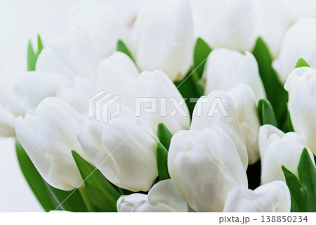 Beautiful Bouquet of white delicate tulips. Spring background. 138850234