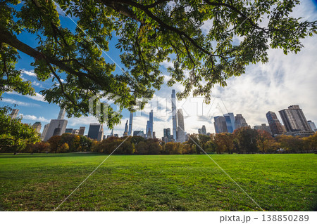Central Park meadow framed by tree branches with Manhattan skyline on bright autumn day in New York City USA Central Park meadow framed by tree branches with Manhattan skyline on bright autumn day in New York City USA 138850289