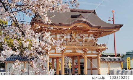 桜と山門 桜と山門 138850292