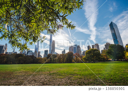 Central Park lawn with Manhattan skyline and sunlight through tree branches on autumn day in New York City USA 138850301
