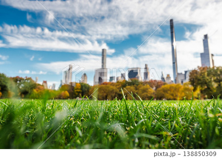 Close up green grass in Central Park with blurred Manhattan skyline and autumn trees in New York City USA Close up green grass in Central Park with blurred Manhattan skyline and autumn trees in New York City USA 138850309