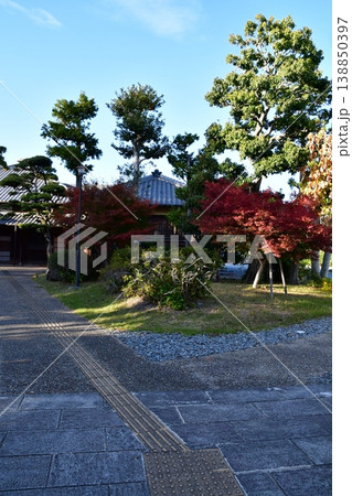掛川城105 竹の丸 掛川城105 竹の丸 138850397