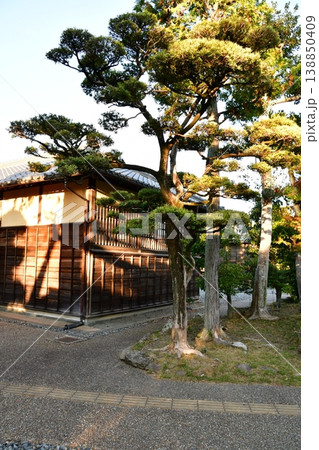 掛川城117 竹の丸 掛川城117 竹の丸 138850409