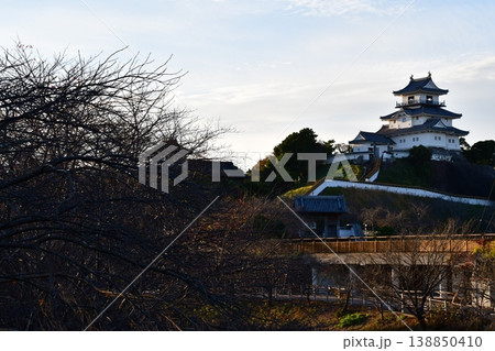 掛川城118 天守 掛川城118 天守 138850410