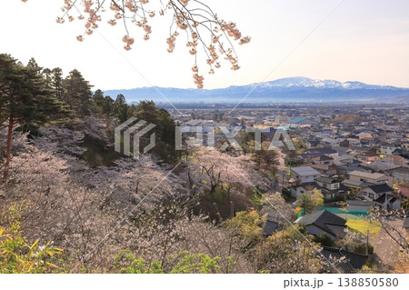 大山公園の桜 138850580
