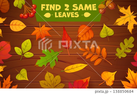 Kids game worksheet, find two same autumn leaves. Cartoon vector puzzle, educational activity riddle for children with fall foliage on wooden background. Seasonal learning task for preschool kids 138850684