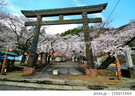 春の鬼怒川温泉を彩る… 桜咲く『藤原町護国神社』 138851664