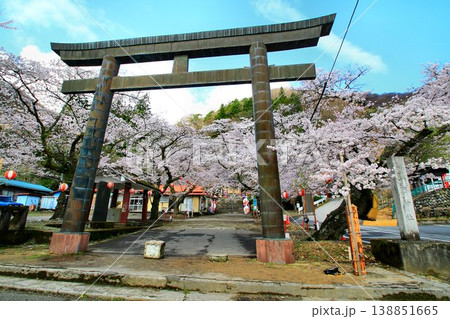 春の鬼怒川温泉を彩る… 桜咲く『藤原町護国神社』 138851665
