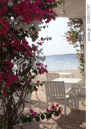 egyptian restaurant on the beach egyptian restaurant on the beach 138851737