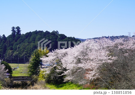 春の柳生 桜風景 春の柳生 桜風景 138851856