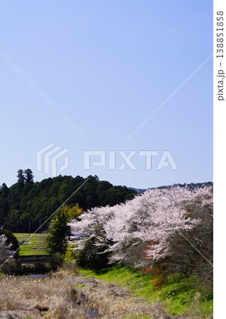 春の柳生 桜風景 春の柳生 桜風景 138851858