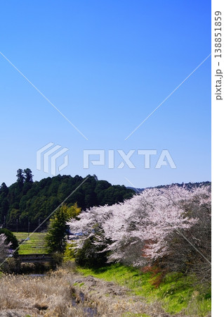 春の柳生 桜風景 春の柳生 桜風景 138851859