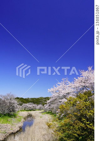 春の柳生 桜風景 春の柳生 桜風景 138851867