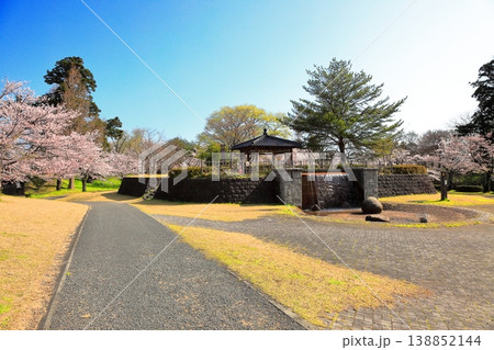 鶴岡公園桜まつり 138852144