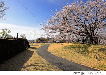 鶴岡公園桜まつり 鶴岡公園桜まつり 138852146