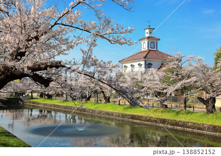 鶴岡公園桜まつり 138852152