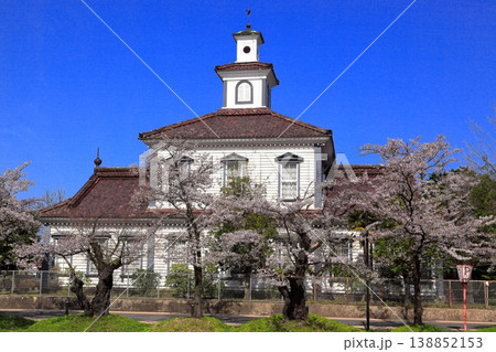 鶴岡公園桜まつり 鶴岡公園桜まつり 138852153