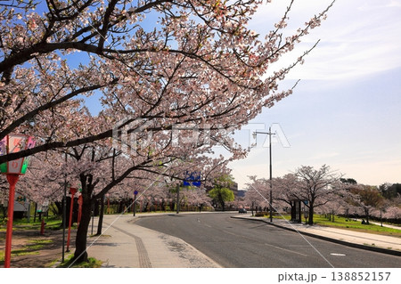 鶴岡公園桜まつり 138852157
