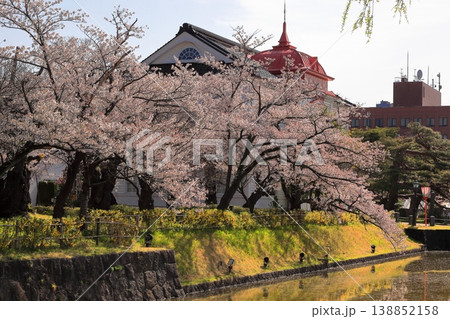 鶴岡公園桜まつり 138852158