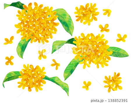 金木犀　水彩風 138852391