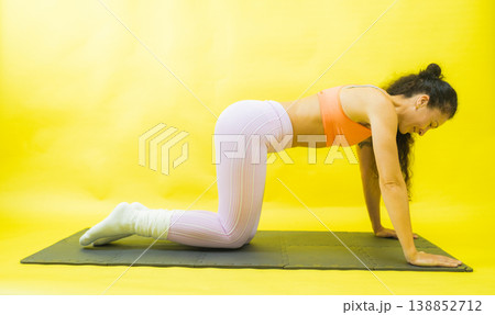 Woman exercising on all fours performing fitness workout Woman exercising on all fours performing fitness workout 138852712