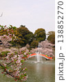 池に架かる赤い橋と桜 138852770